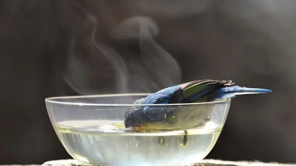 birds can drink warm water