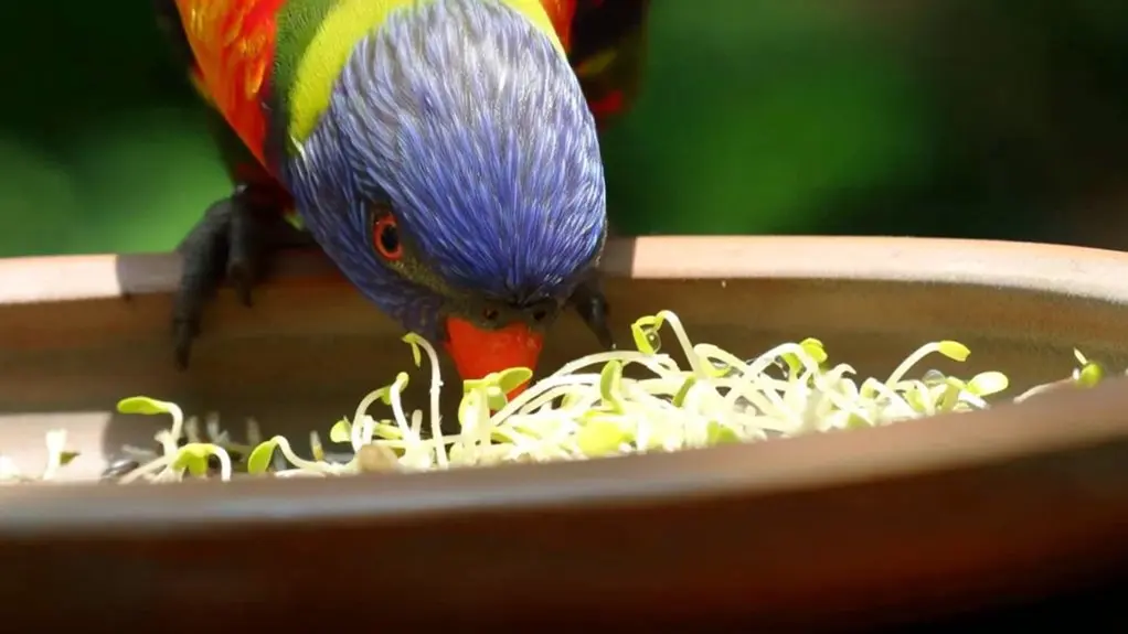 birds can eat alfalfa