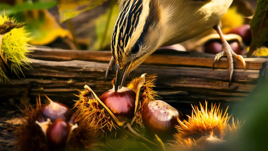 birds can eat chestnuts