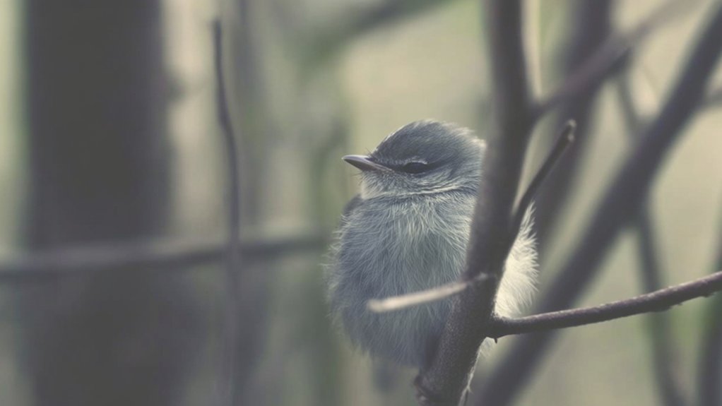birds can suffer depression