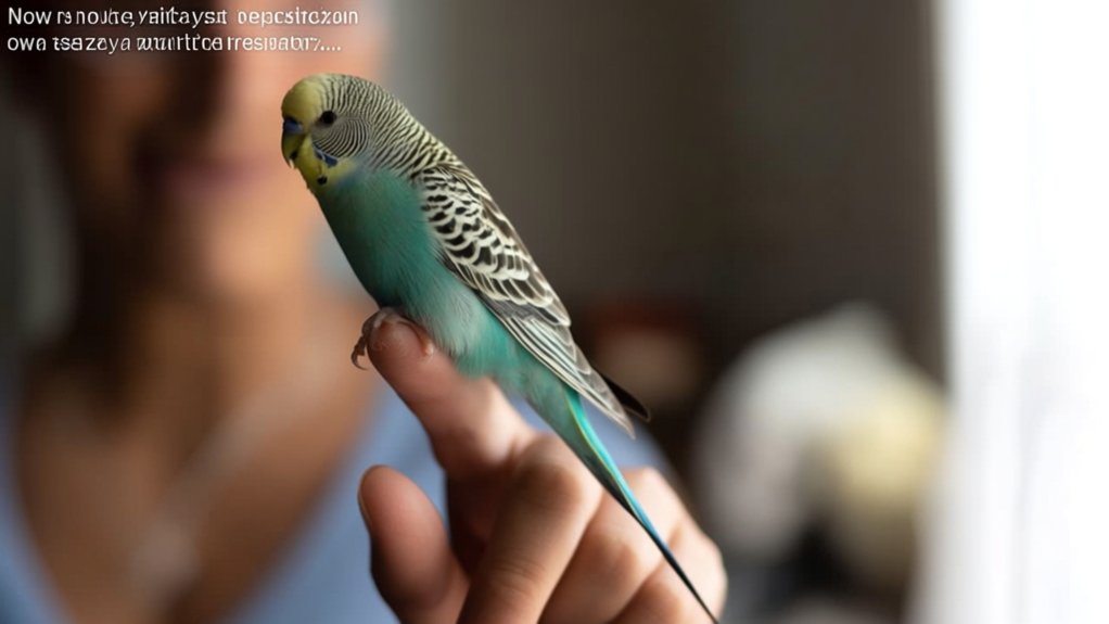 birds potentially cause lung issues
