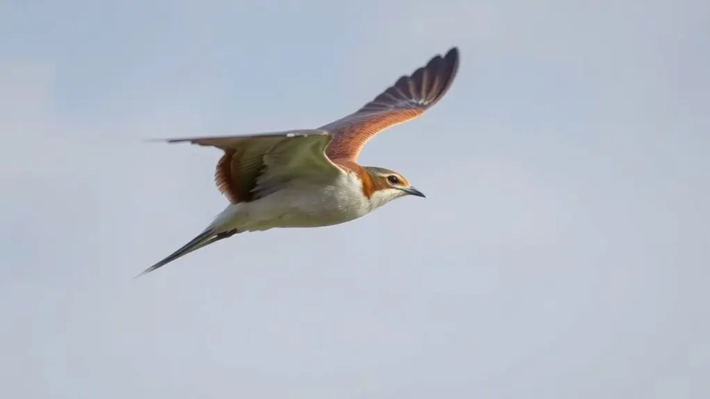 adaptive flight mechanics changes