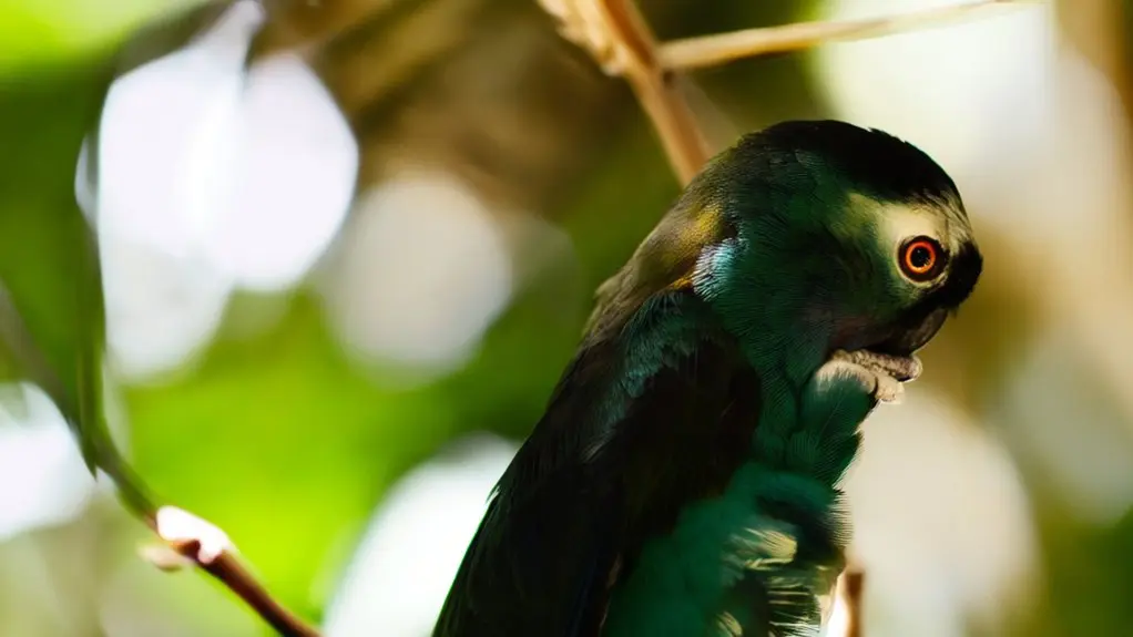 birds can develop pneumonia