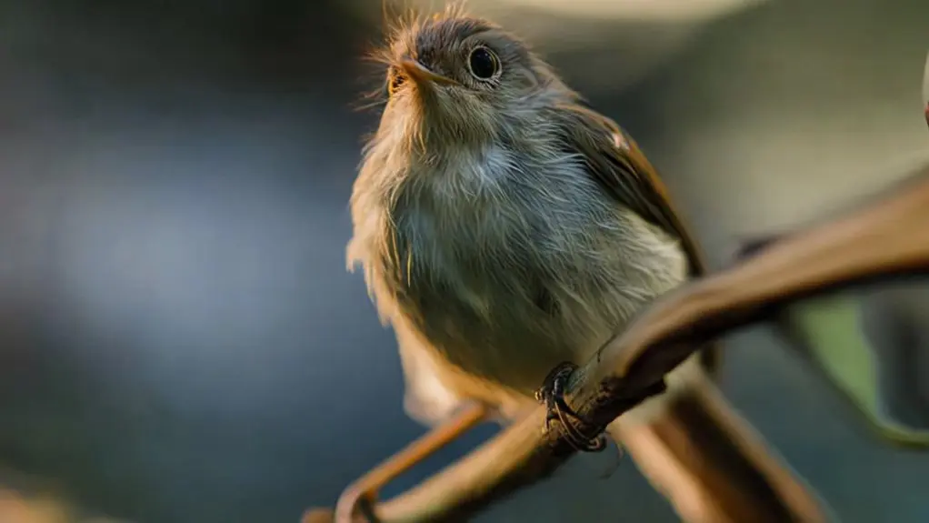 birds can experience anxiety