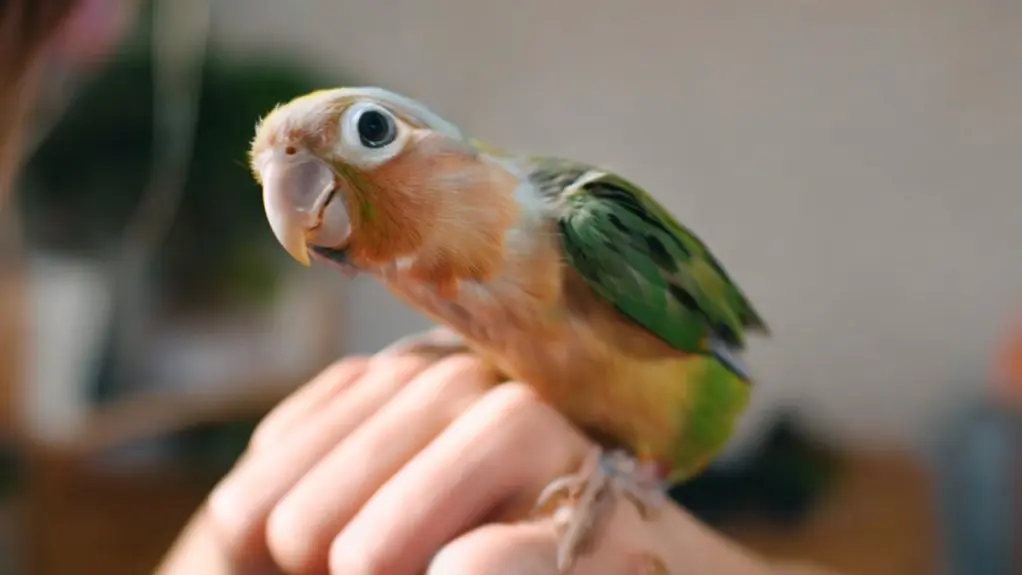 birds can get covid