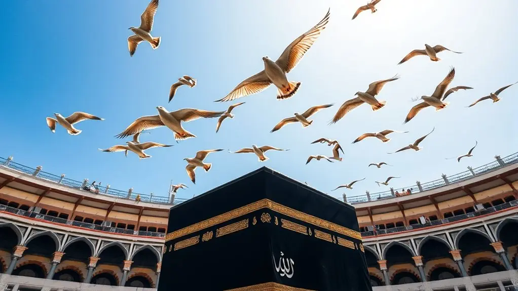 birds rest and fly freely
