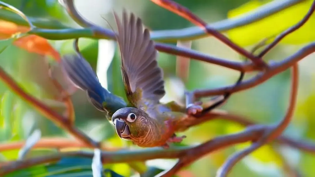 birds with attention disorders