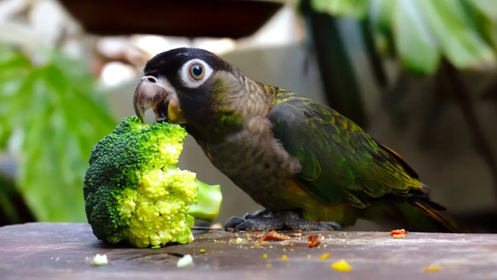 can birds eat broccoli