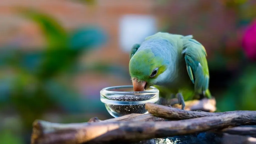 can birds eat chia