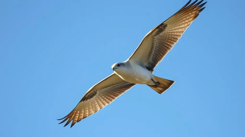lightweight skeletons enhance flight