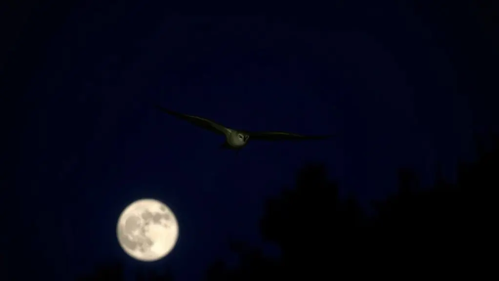 night active bird adaptations