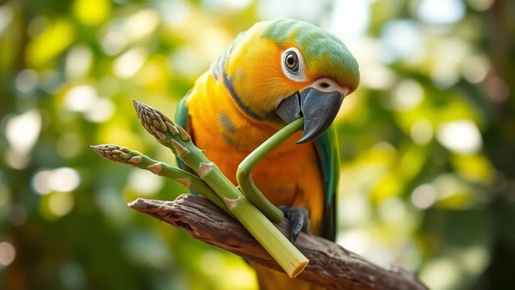 parrots safely eat asparagus